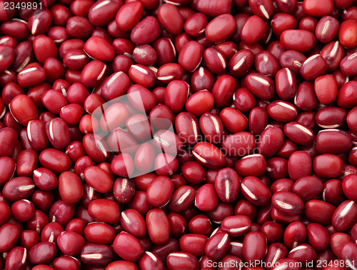 Image of Adzuki Red Bean