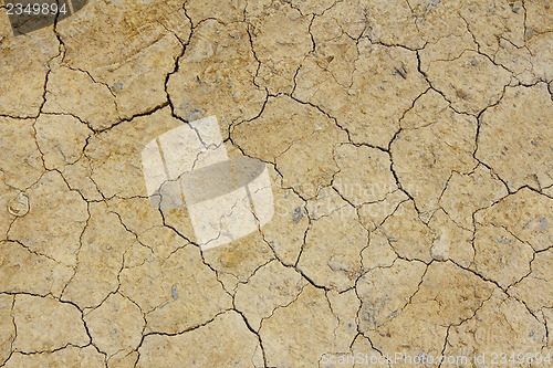 Image of Dried crack land