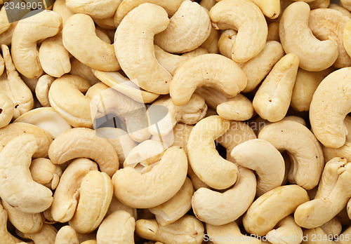 Image of Fresh cashew nuts