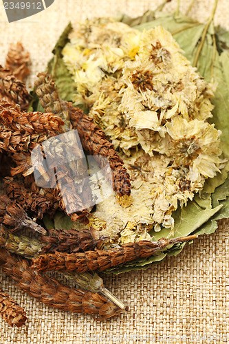 Image of Dried herbal medicine