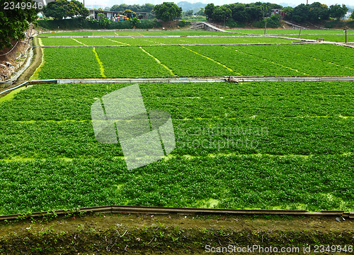 Image of Farm field
