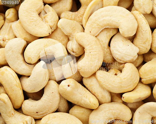 Image of Fresh cashew nuts close up 