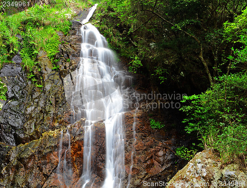 Image of Waterfall in forest