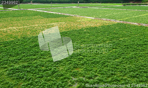 Image of Farm field
