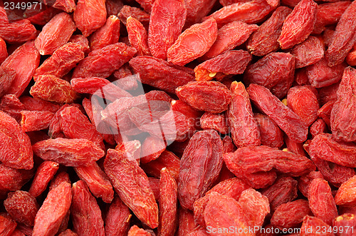 Image of Dried wolfberry fruit close up 