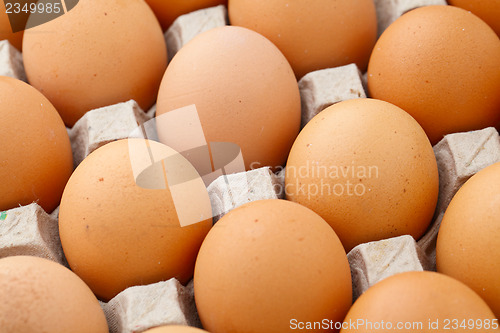 Image of Heap of farm egg close up