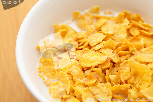 Image of Corn flake close up 