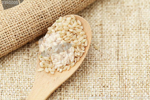 Image of Uncooked rice on spoon