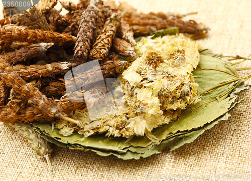 Image of Chinese herbal medicine 
