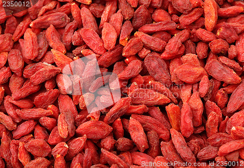 Image of Dried wolfberry fruit 