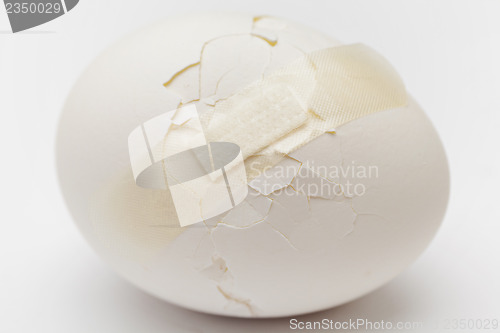 Image of Cracked white egg with plastic plaster