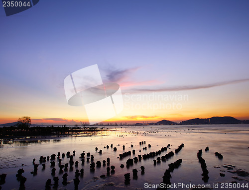 Image of Sunset with sea