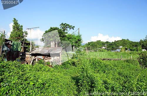 Image of Wooden house in countryside