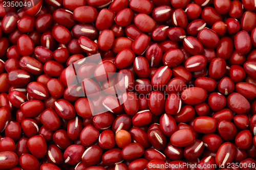 Image of Adzuki Red Bean background
