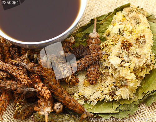 Image of Chinese herbal medicine with ingredient