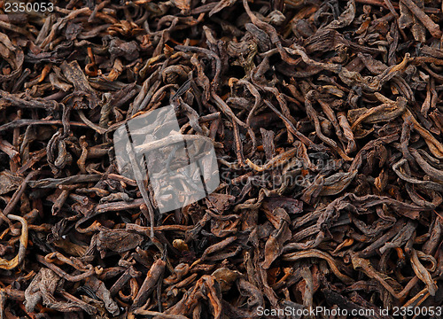 Image of Chinese black tea