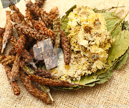 Image of Dried herbal medicine