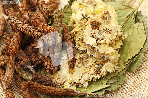 Image of Chinese medicine herbal tea ingredients 