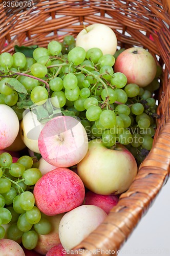 Image of apples and grapes