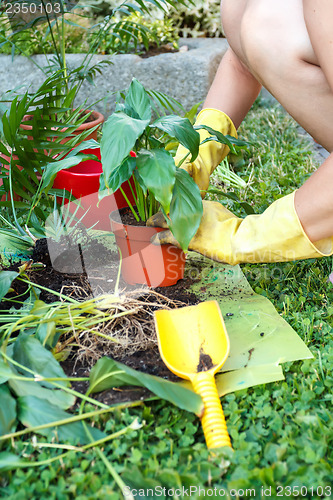 Image of gardening with rubber yellow gloves