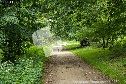 Image of rural forest path in the park