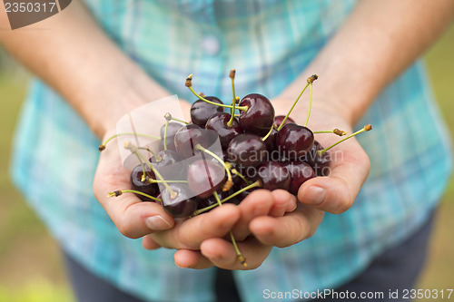 Image of Cherry