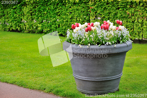 Image of basket of spring flowers in garden
