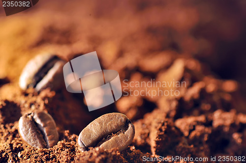 Image of Macro coffee beans and ground coffee