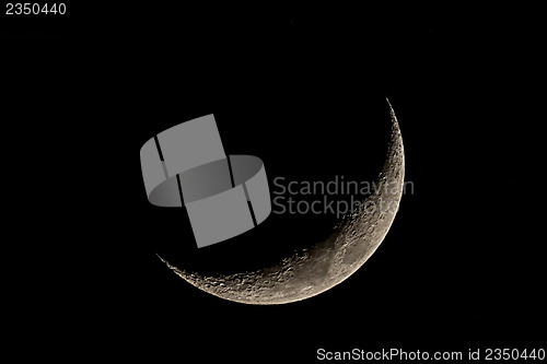 Image of Crescent