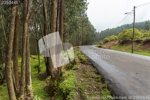 Image of Mount Entoto Road