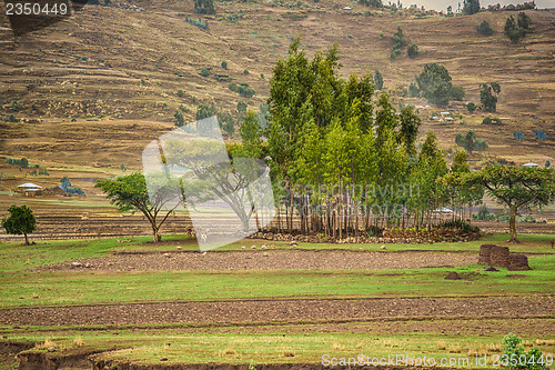 Image of Life in the countryside