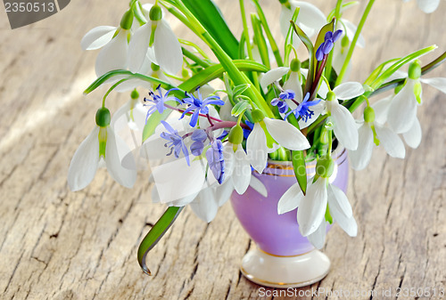 Image of Beautiful bouquet snowdrops in a vase on woody background