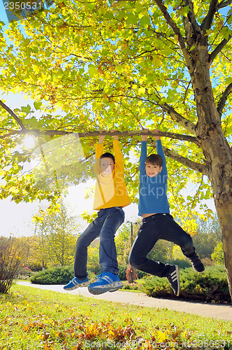 Image of boys hanging from branch of tree
