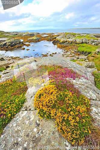 Image of irish landscape