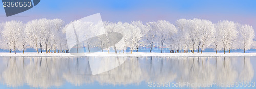 Image of Danube river in winter time