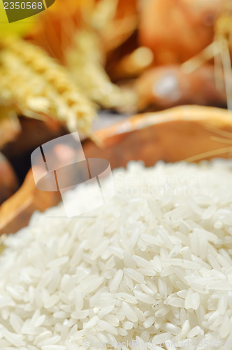 Image of harvesting rice 