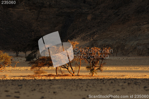 Image of Jebel Uwaynat