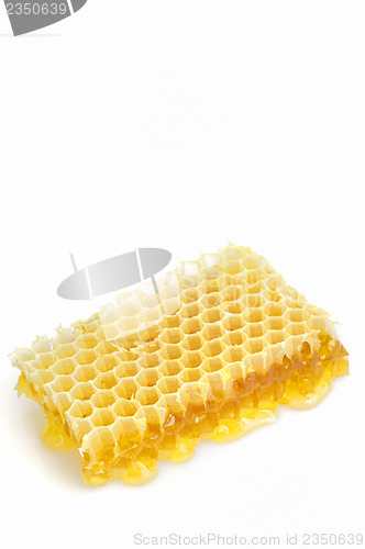 Image of Honeycomb isolated on white