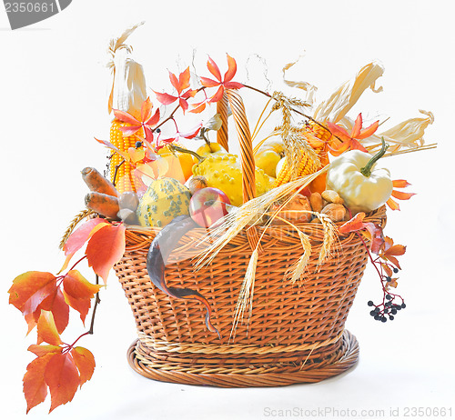 Image of Autumnal basket over white 