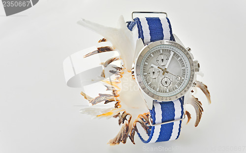 Image of watch and shell