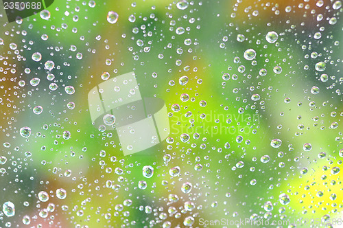 Image of Drops of rain on the glass 