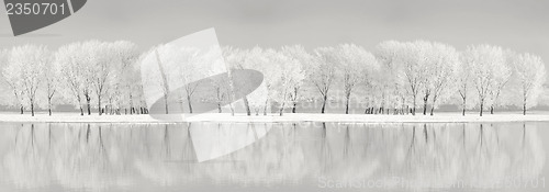 Image of Danube river in winter time