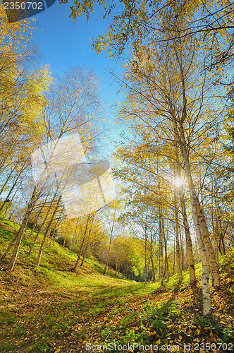 Image of autumn landscape