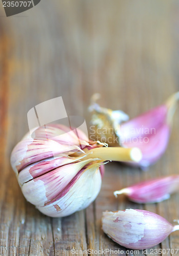 Image of young garlics on wooden background