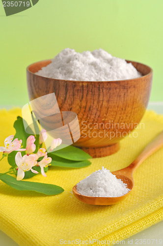 Image of Salt 