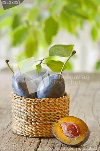 Image of basket with plums