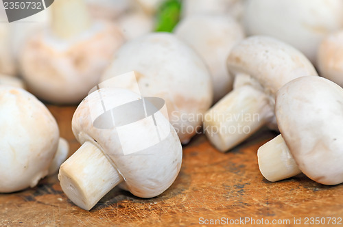 Image of closeup of raw flat mushrooms 