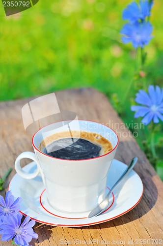 Image of chicory coffee