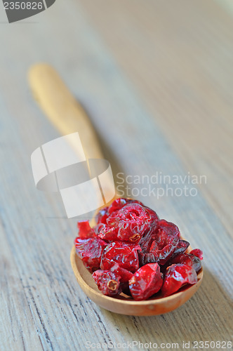 Image of spoon of dried cranberries