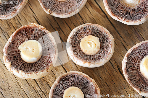 Image of brown mushrooms